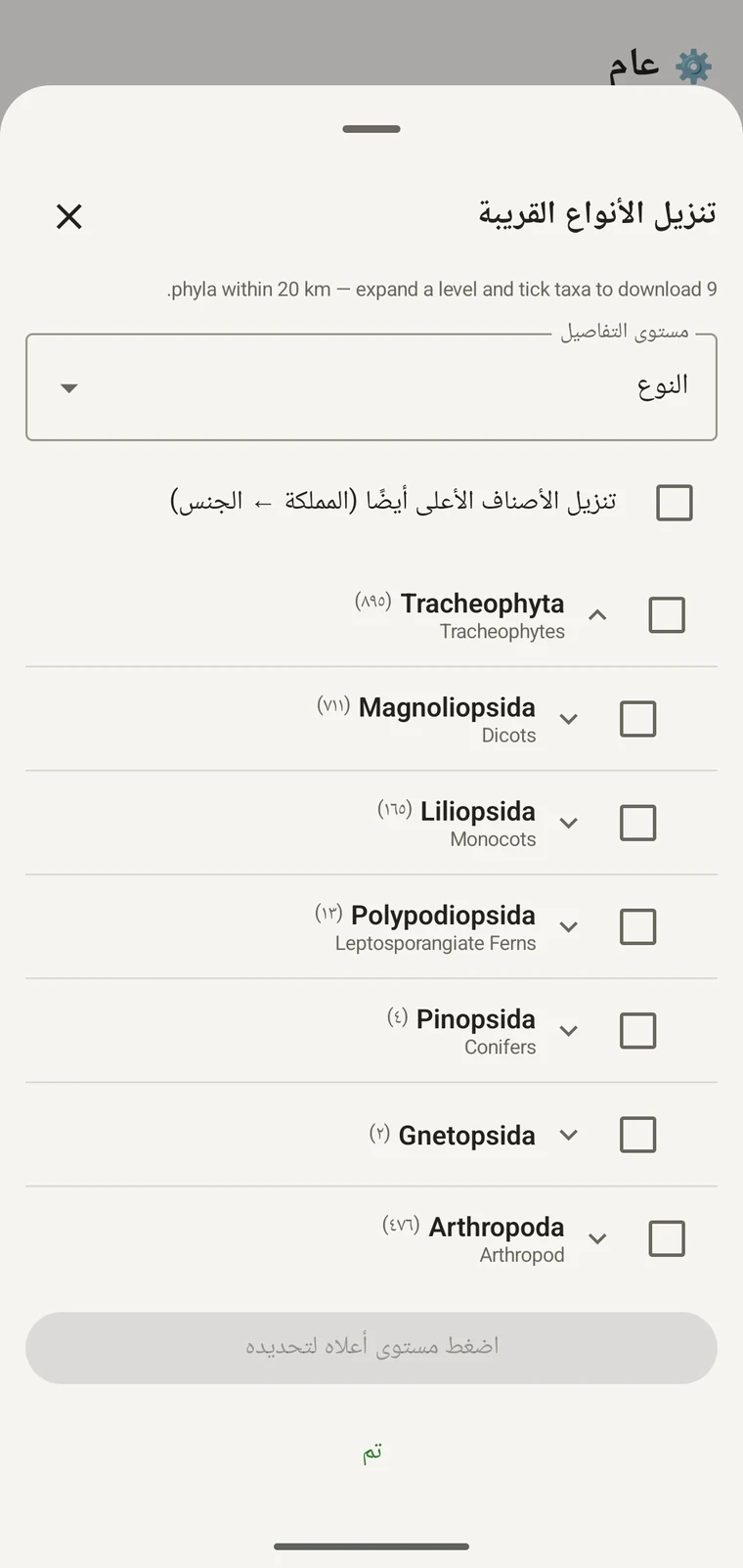 شجرة GBIF متعمَّقة إلى الرتب داخل Magnoliopsida، ويعرض كلٌّ منها الأسماء الشائعة