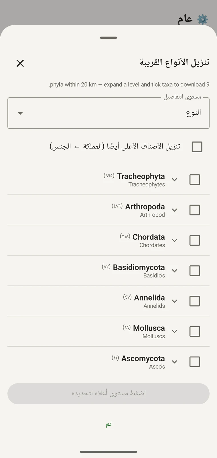 الشجرة التصنيفية في GBIF مع الطوائف تحت Tracheophyta