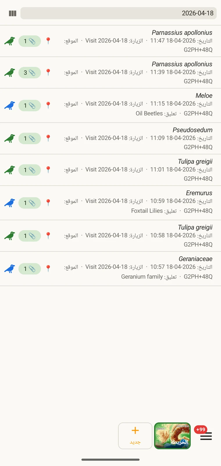 Observation list filtered by typing a date into the filter box above the list