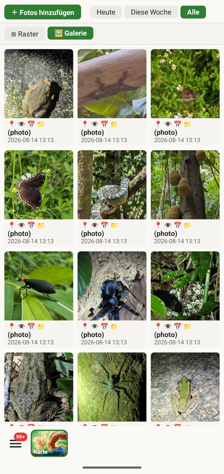 Fotogalerie des Projekts mit einem Raster aller angehängten Bilder