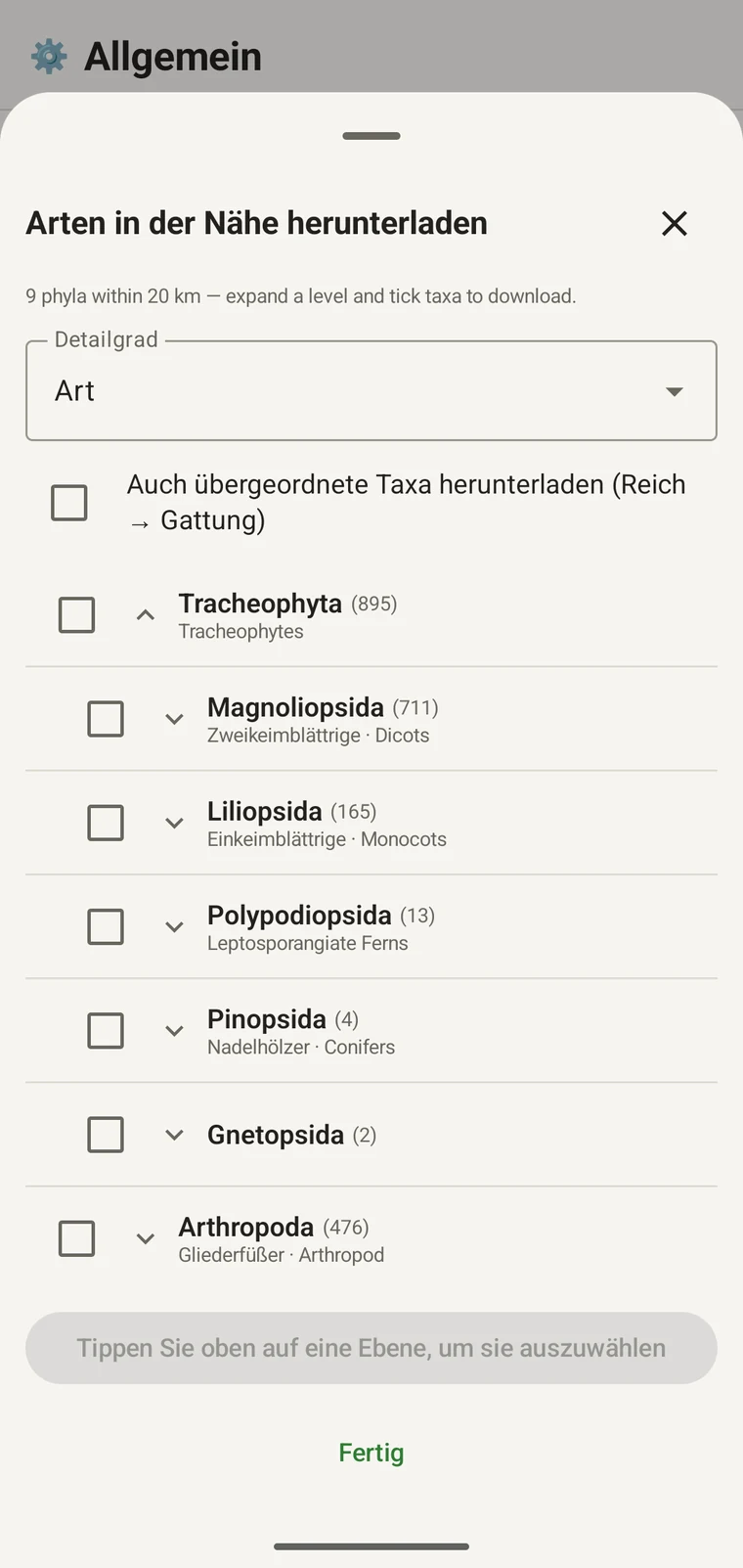 GBIF-Baum, aufgeklappt bis zu den Ordnungen innerhalb von Magnoliopsida, jeweils mit Trivialnamen
