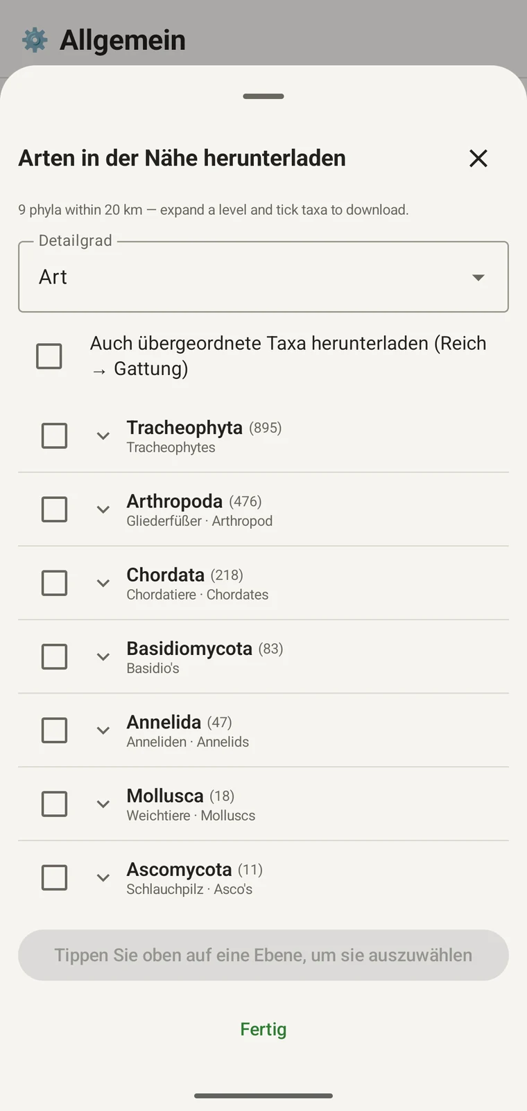 Taxonomischer GBIF-Baum mit den Klassen unter Tracheophyta
