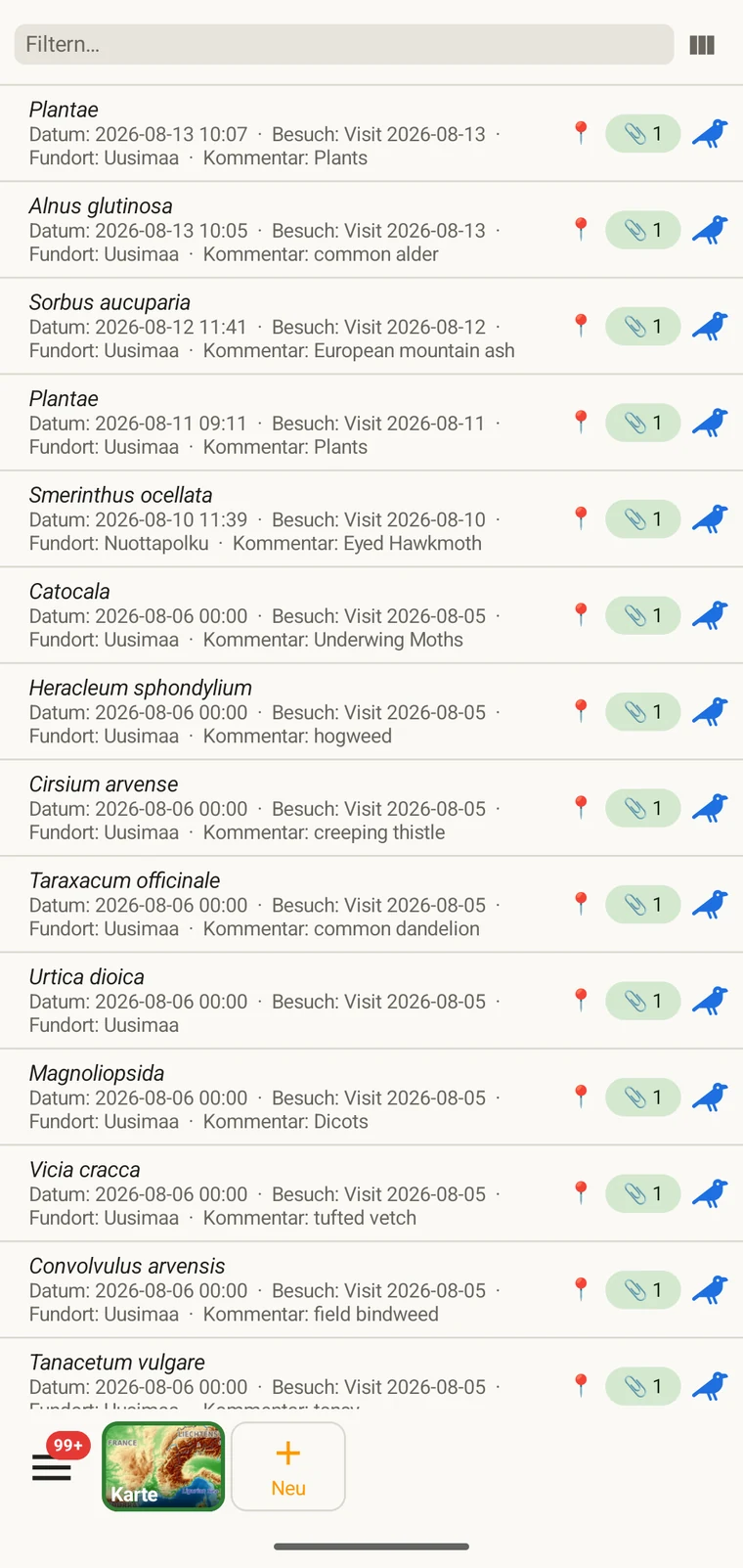 Beobachtungsliste mit mehreren Datensätzen und den Spalten Taxon, Datum und weiteren gewählten Spalten