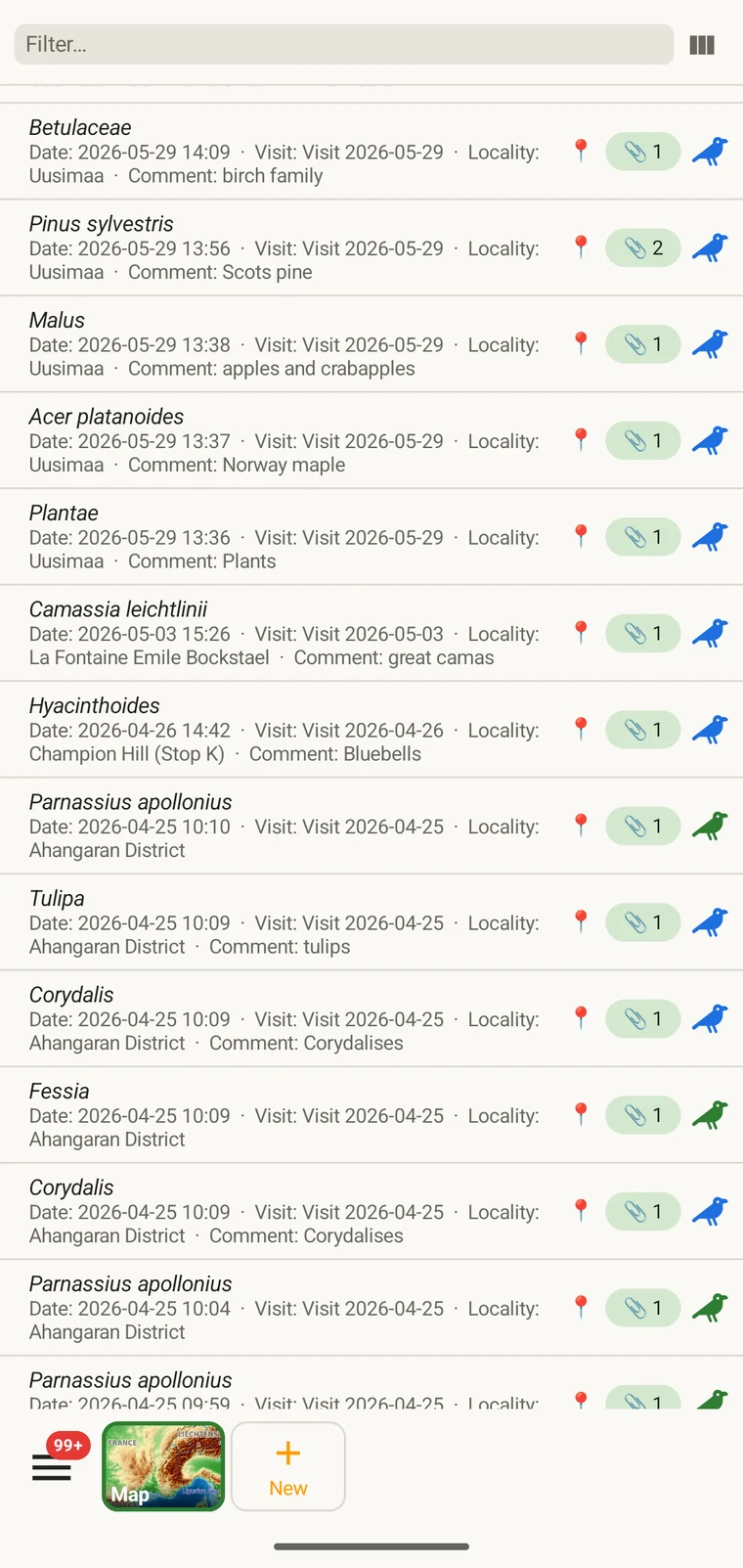 Observation list showing multiple records with taxon, date and other chosen columns