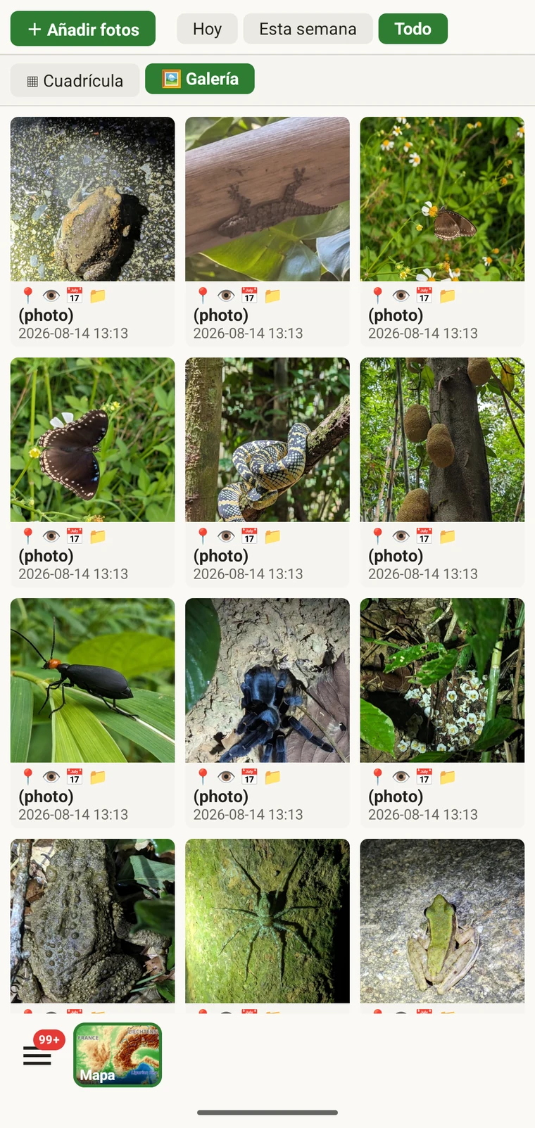 Galería de fotos del proyecto con una cuadrícula de todas las imágenes adjuntas
