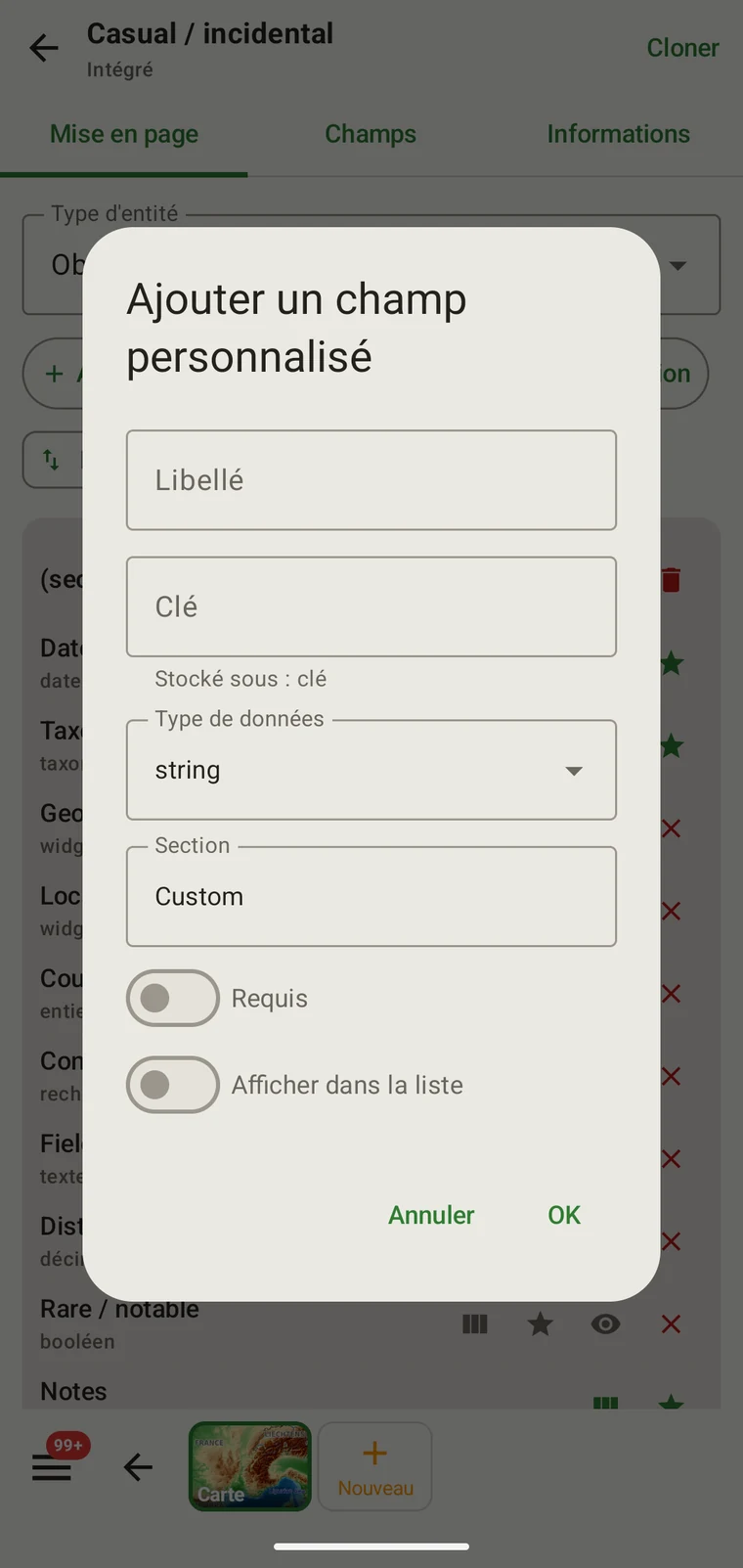Add custom field dialog with Caption, Key, Data type, Section, Required and Show in list controls