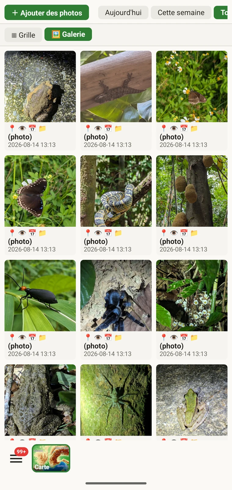 Galerie de photos du projet montrant une grille de toutes les images jointes