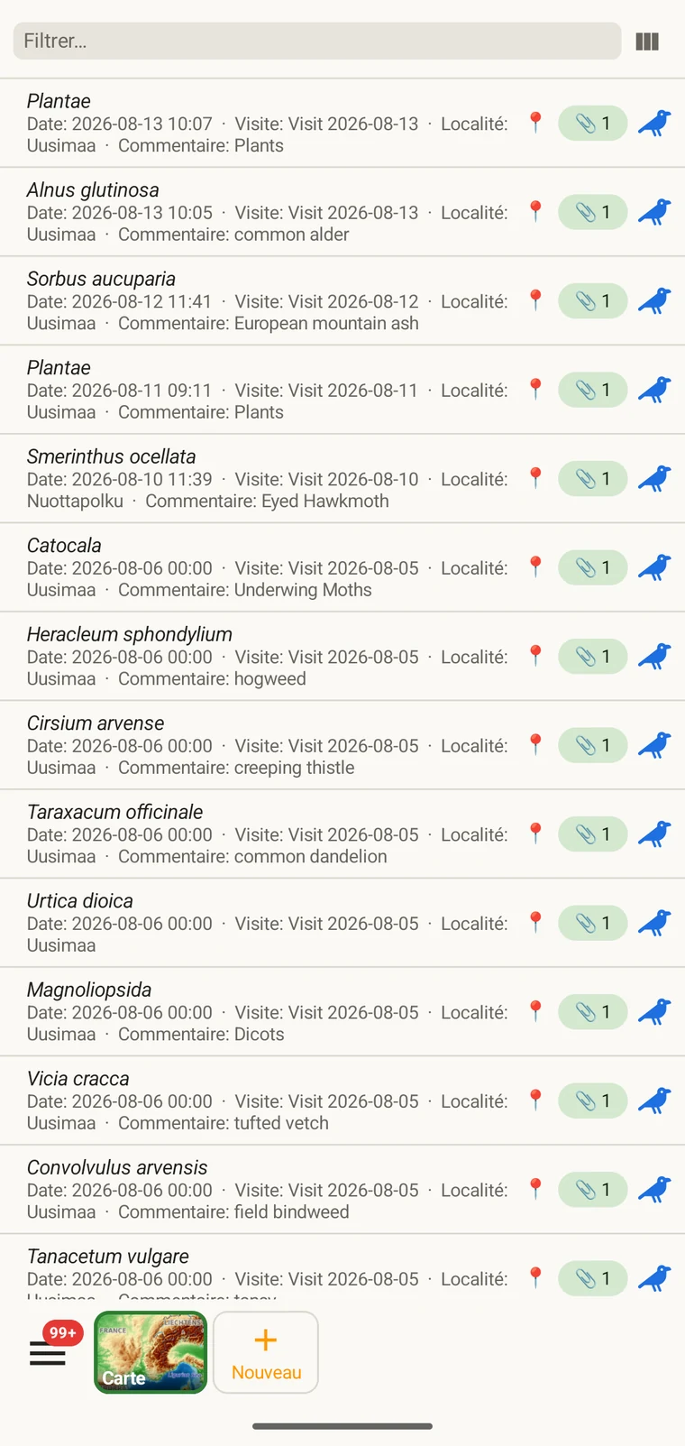 Liste des observations montrant plusieurs enregistrements avec le taxon, la date et les autres colonnes choisies