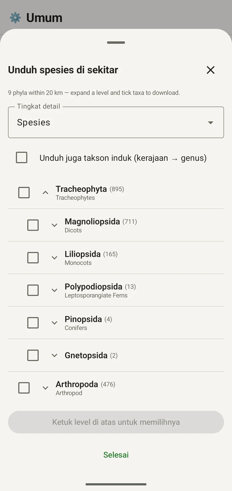 Pohon GBIF yang ditelusuri hingga ordo di dalam Magnoliopsida, masing-masing menampilkan nama umum