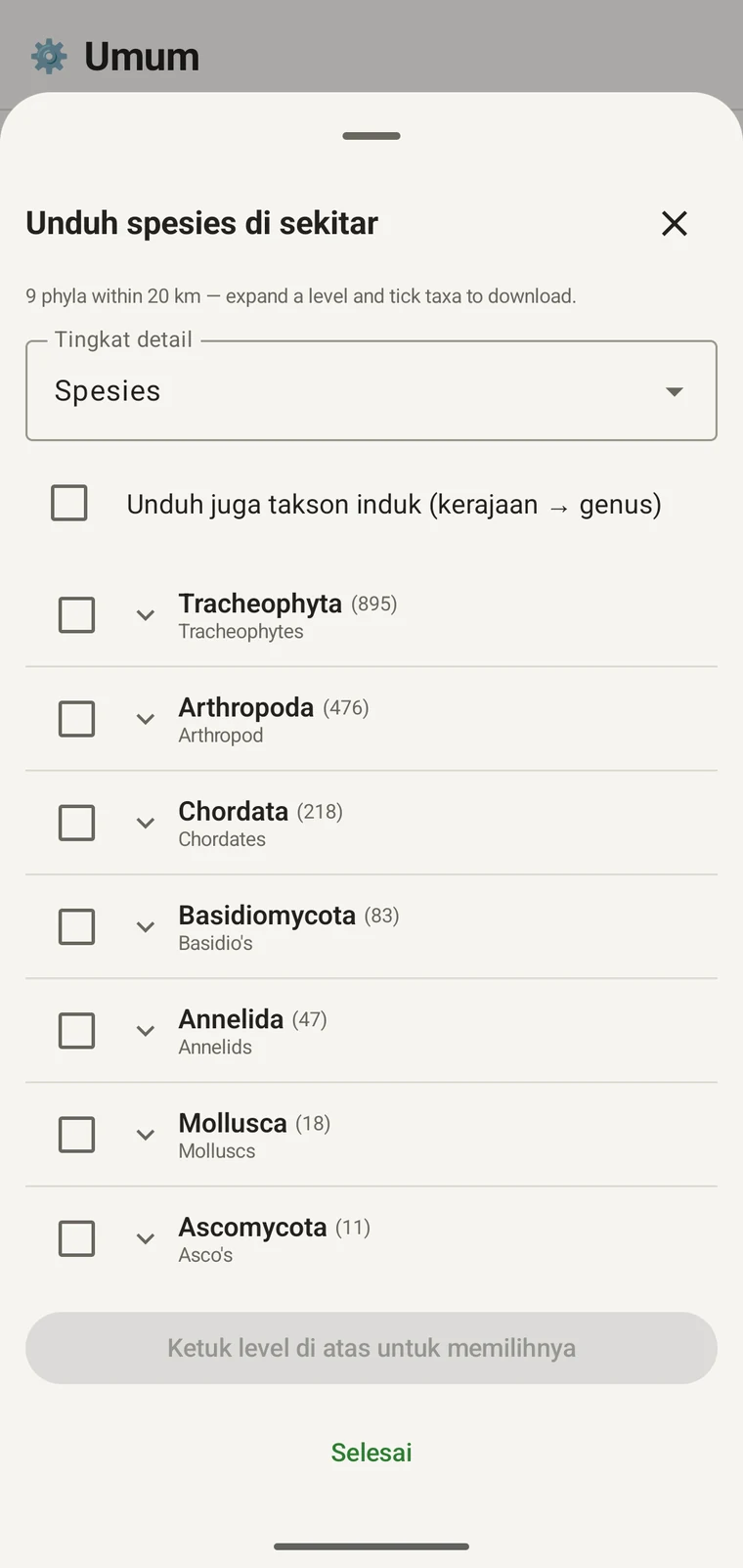 Pohon taksonomi GBIF dengan kelas-kelas di bawah Tracheophyta