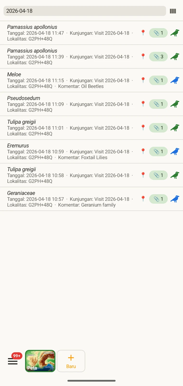 Observation list filtered by typing a date into the filter box above the list