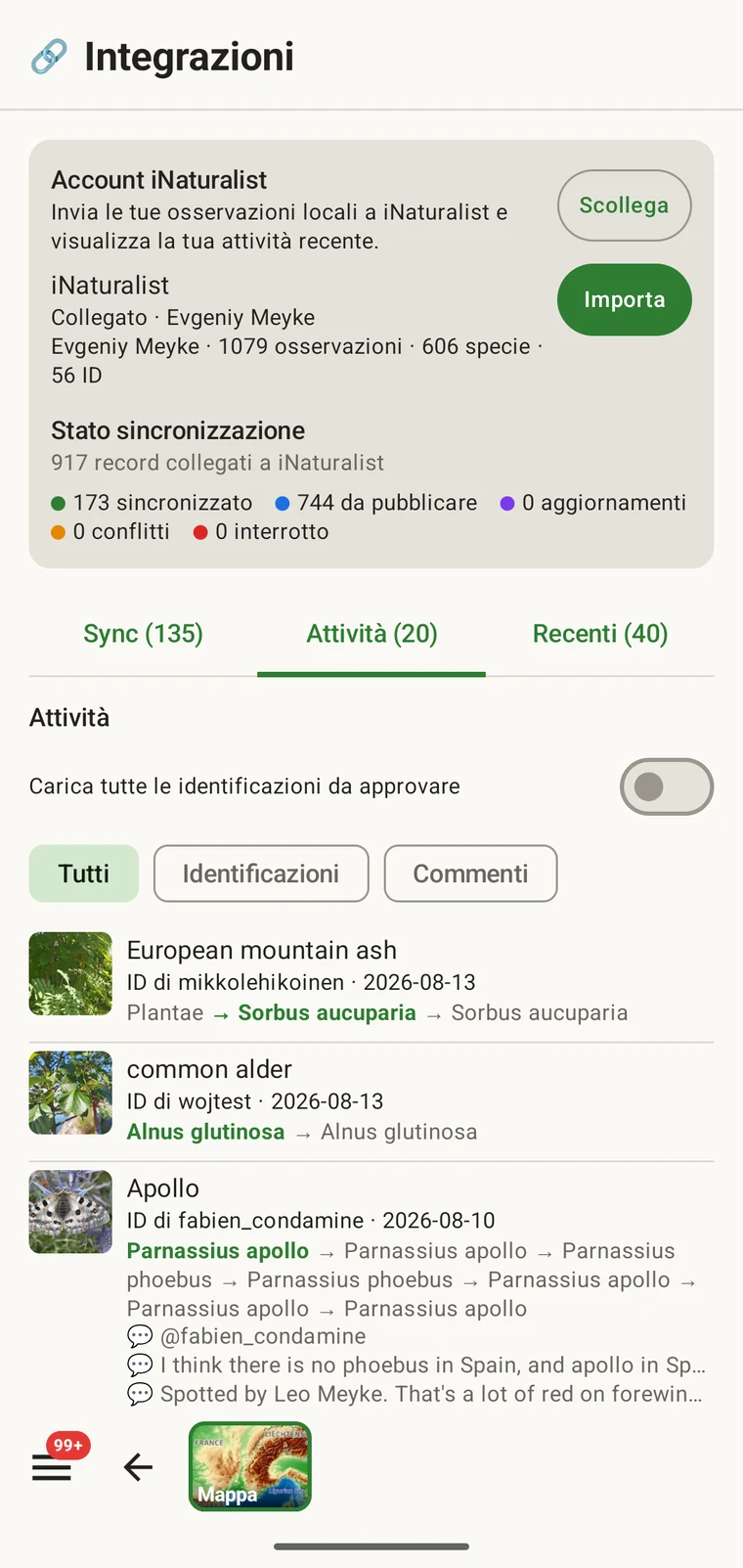 Feed di attività iNaturalist con gli eventi recenti su osservazioni e identificazioni