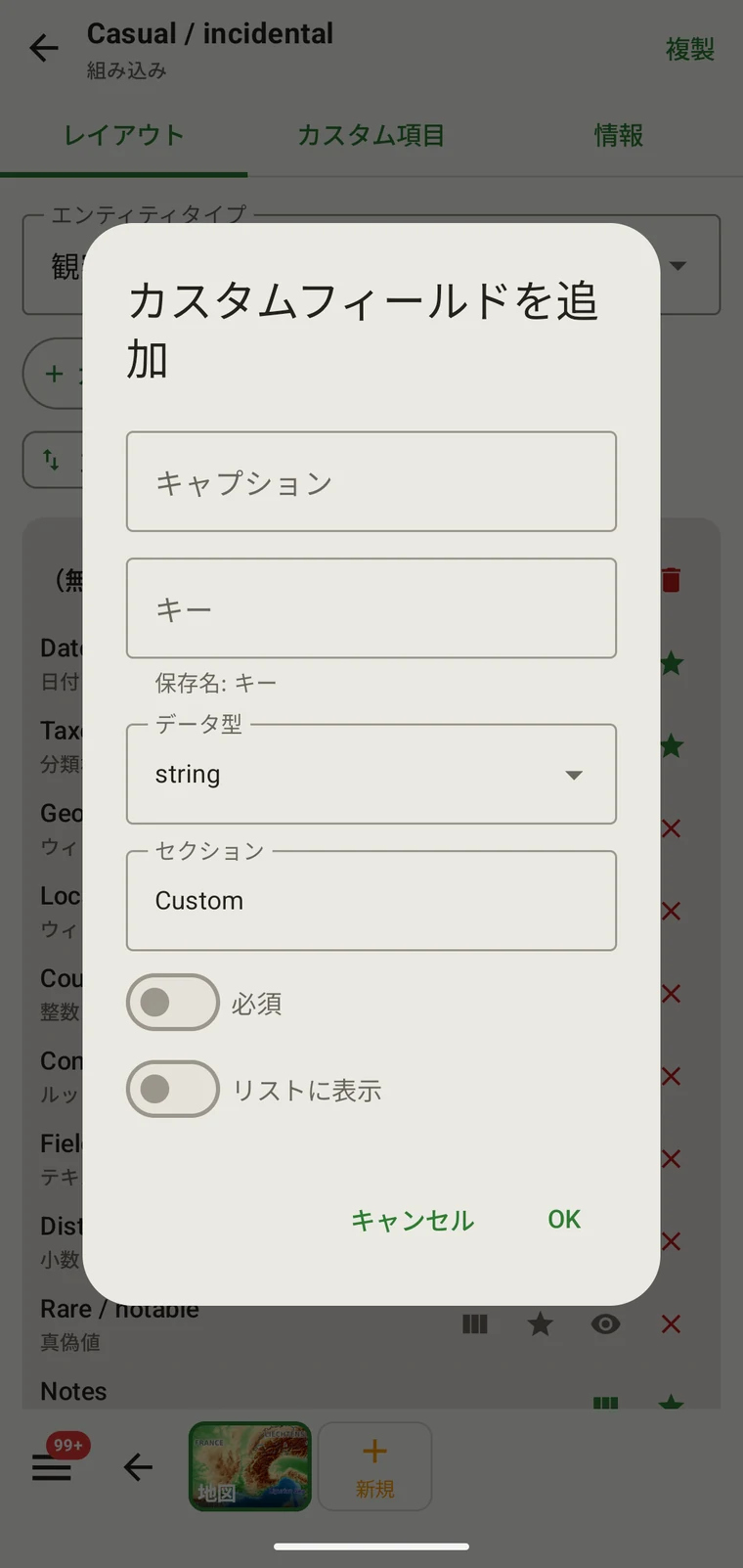 Add custom field dialog with Caption, Key, Data type, Section, Required and Show in list controls