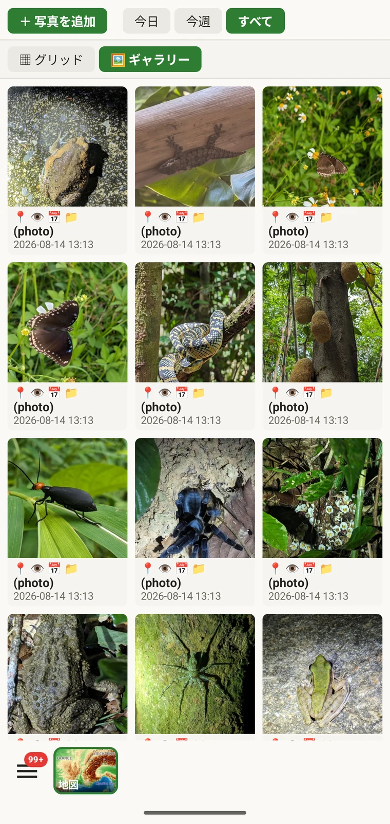 添付されたすべての画像をグリッドで表示したプロジェクトの写真ギャラリー