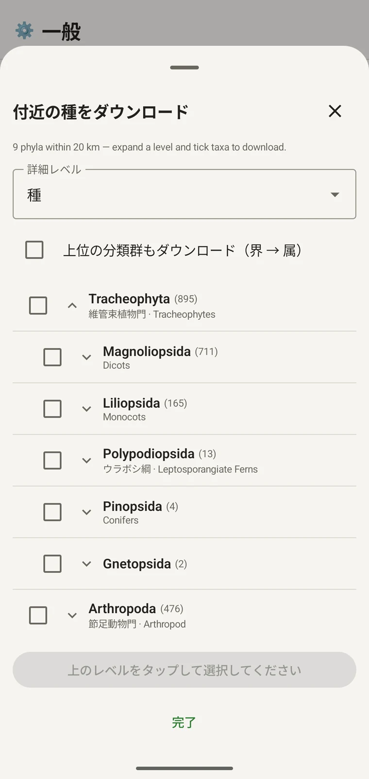 Magnoliopsida 内の目まで展開し、それぞれに一般名を表示した GBIF ツリー