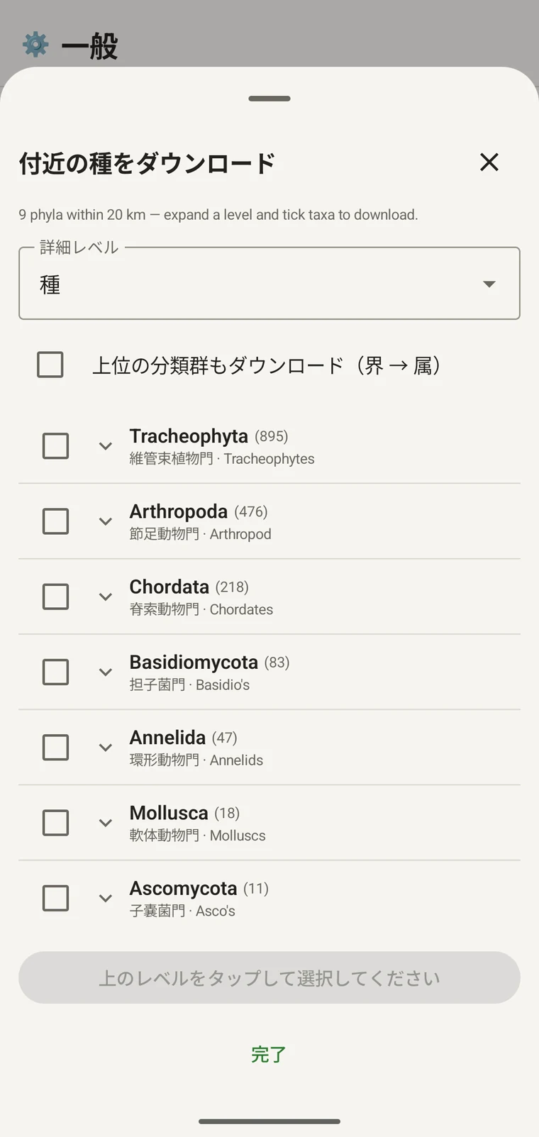 Tracheophyta の下位の綱を表示した GBIF 分類ツリー