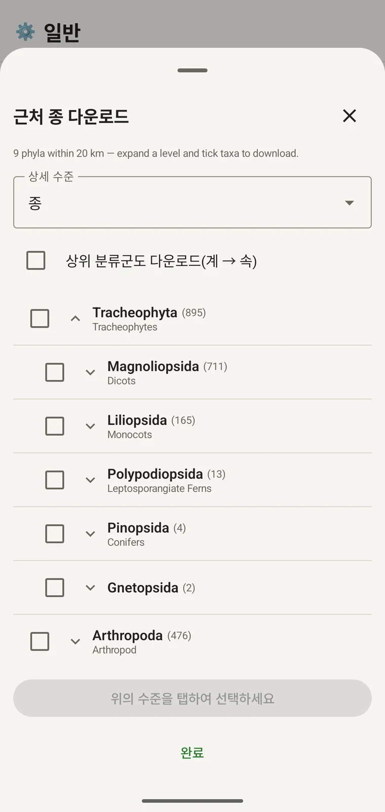 Magnoliopsida 안의 목까지 펼쳐지고 각각 일반명이 표시된 GBIF 트리