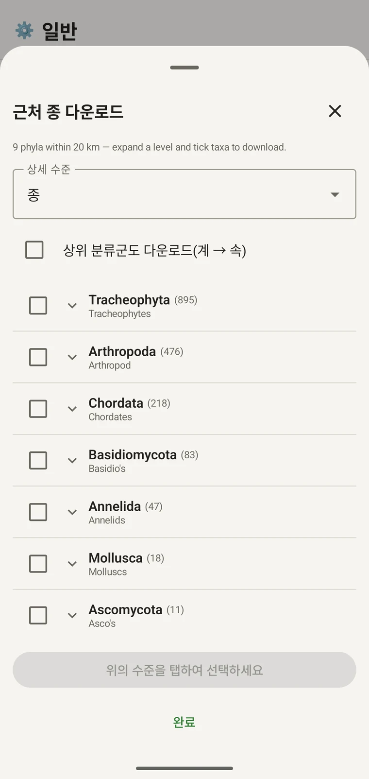Tracheophyta 아래의 강이 표시된 GBIF 분류 트리