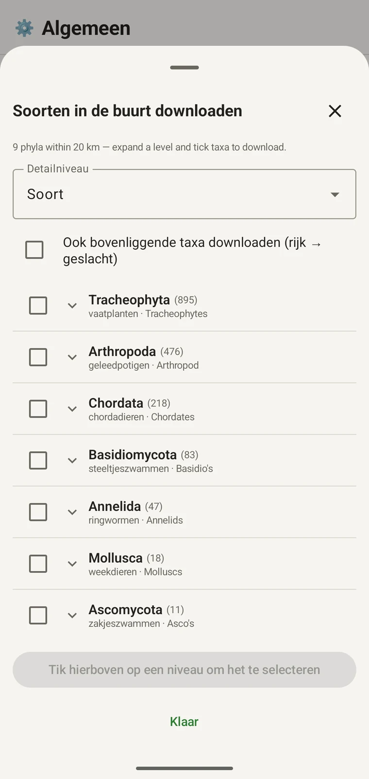 Taxonomische GBIF-boom met de klassen onder Tracheophyta