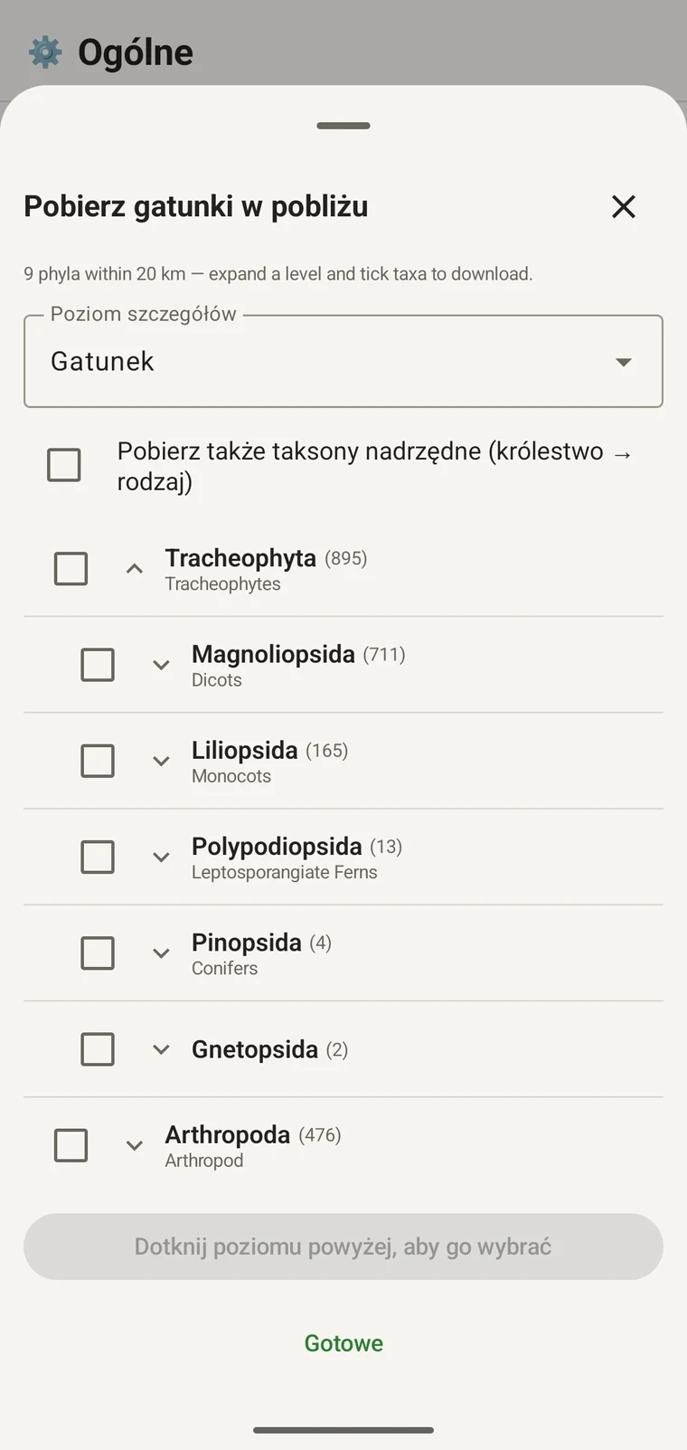 Drzewo GBIF rozwinięte do rzędów w obrębie Magnoliopsida, każdy z nazwami zwyczajowymi