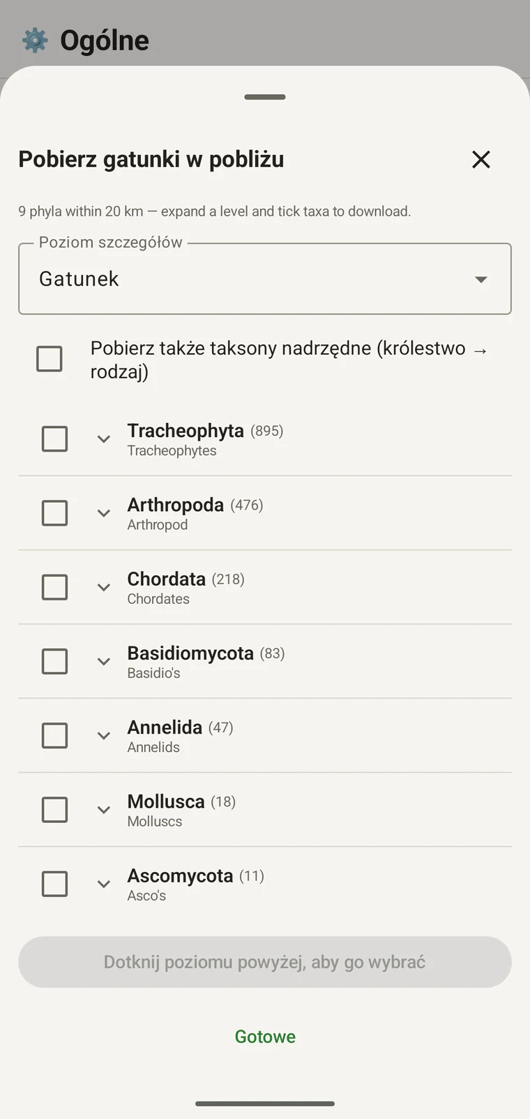 Drzewo taksonomiczne GBIF z klasami w obrębie Tracheophyta