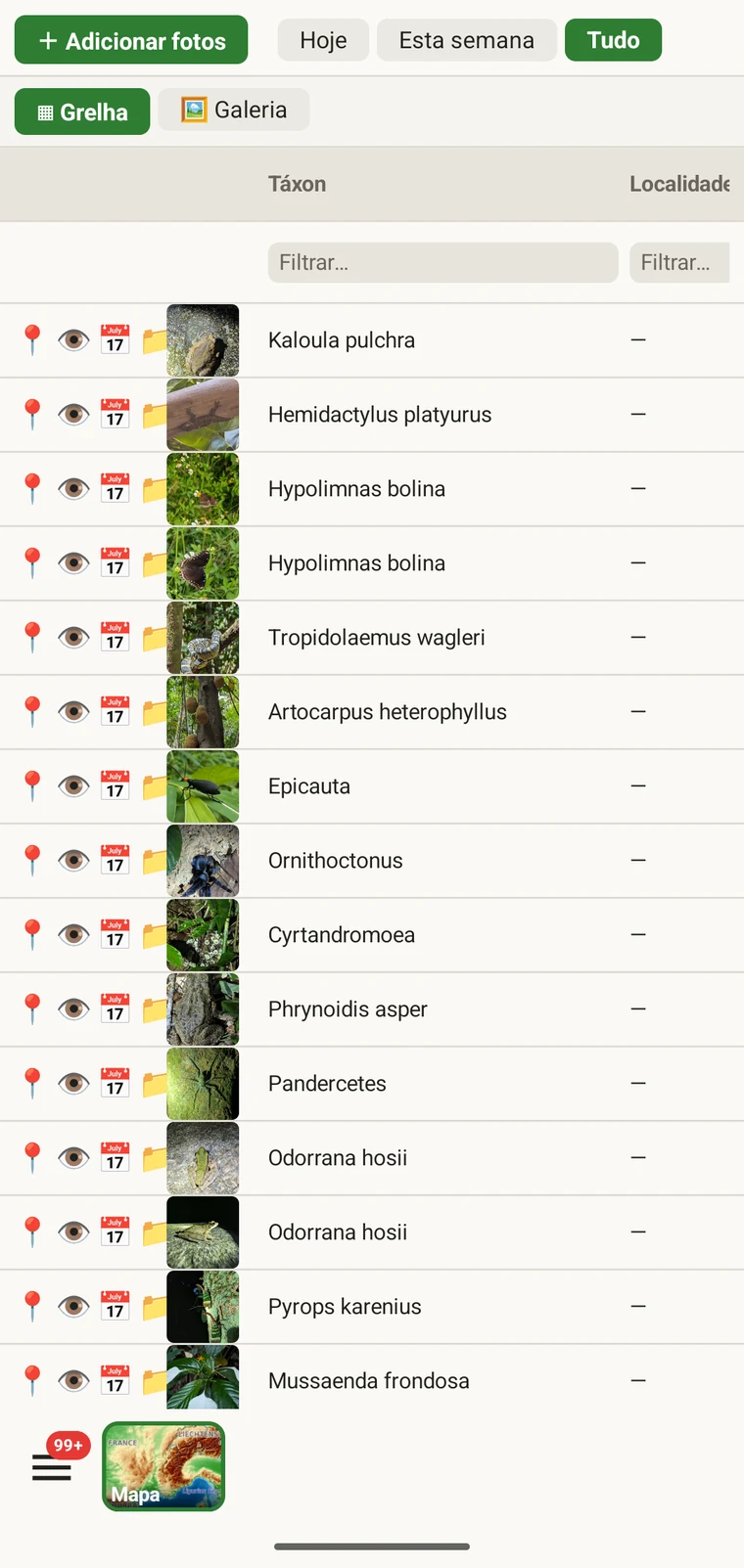 Grelha do seletor de fotos a mostrar as imagens anexadas a um registo