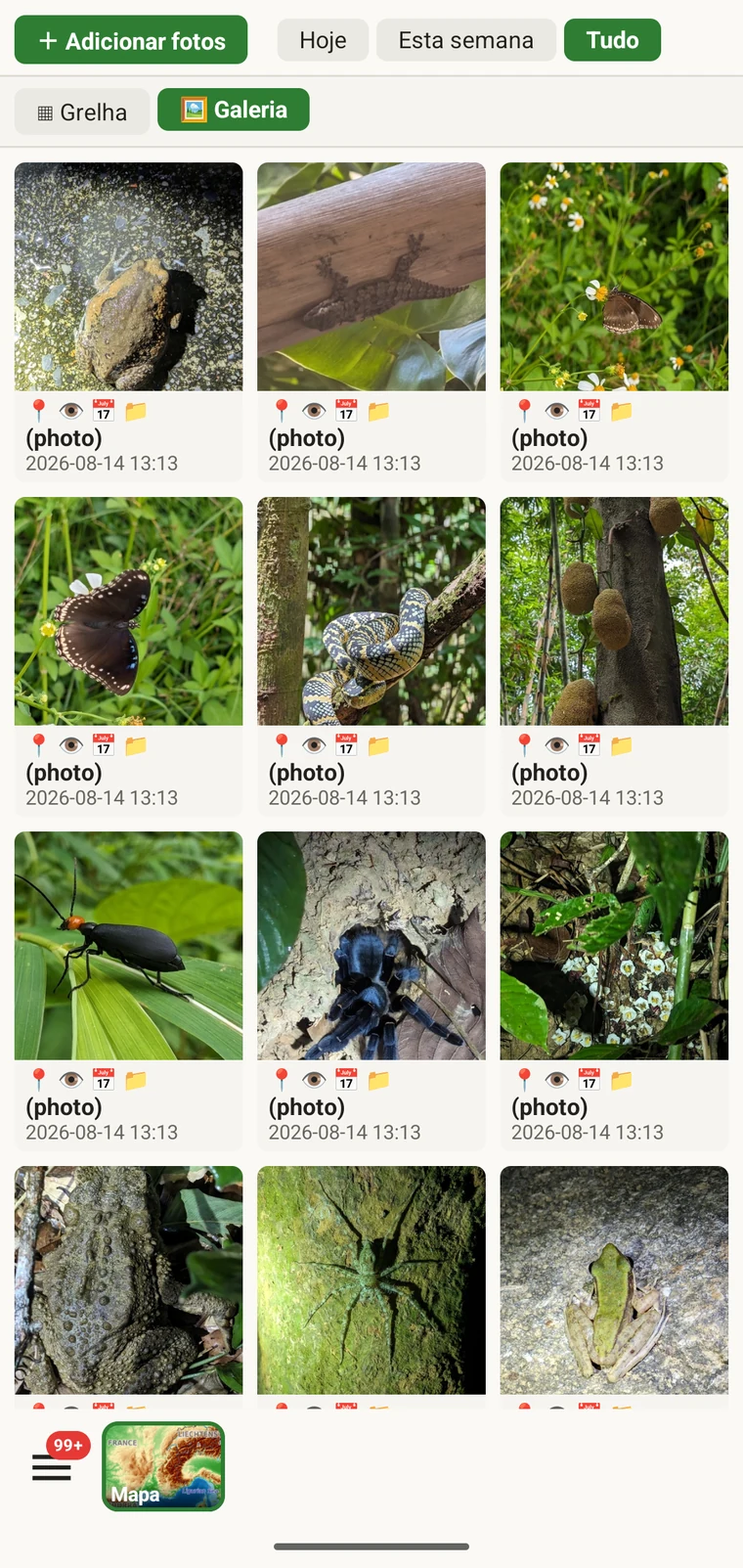 Galeria de fotos do projeto a mostrar uma grelha com todas as imagens anexadas