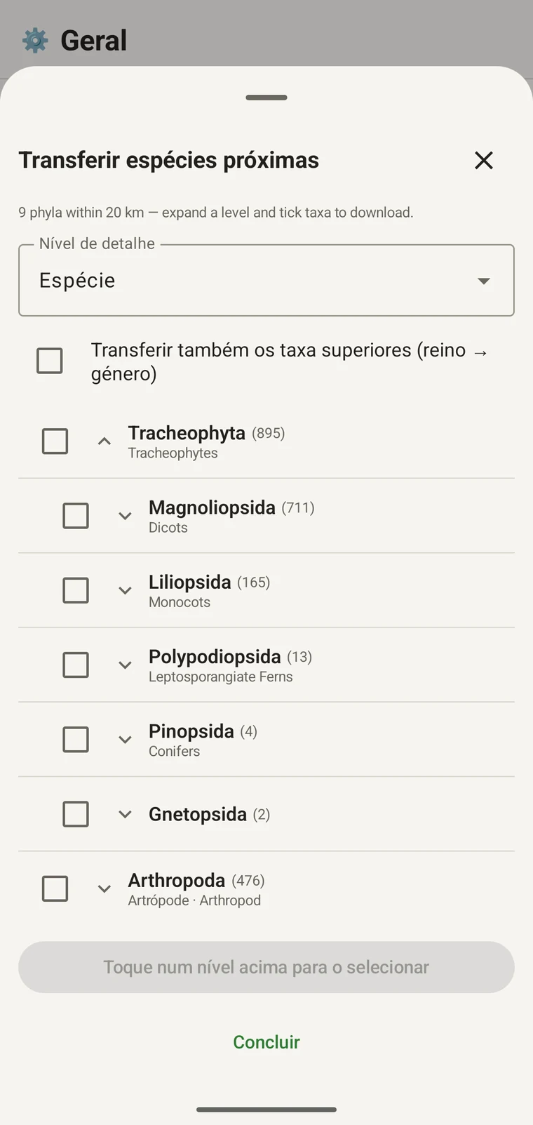 Árvore do GBIF explorada até às ordens dentro de Magnoliopsida, cada uma a mostrar os nomes vernáculos