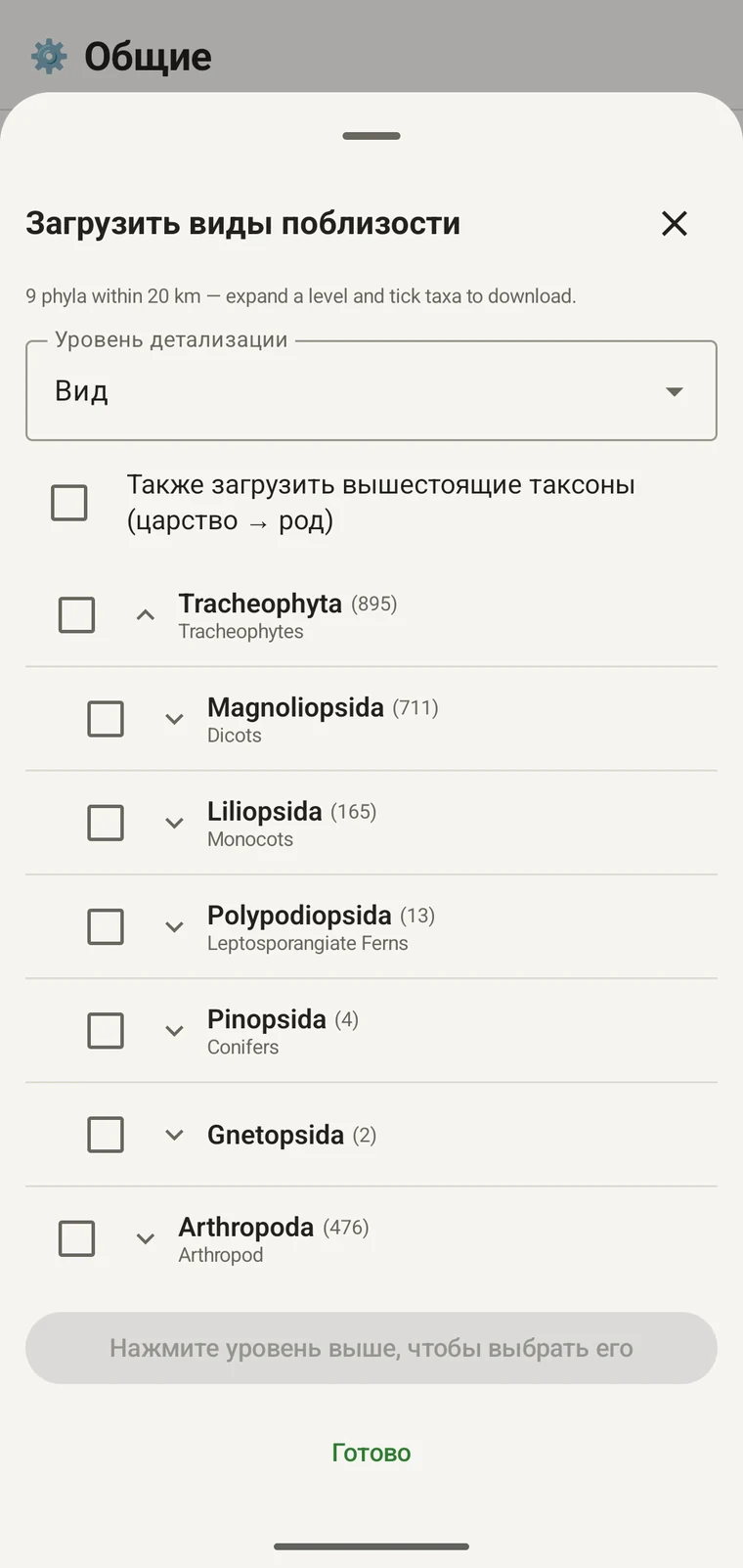 Дерево GBIF, развёрнутое до отрядов внутри Magnoliopsida, у каждого показаны общеупотребительные названия