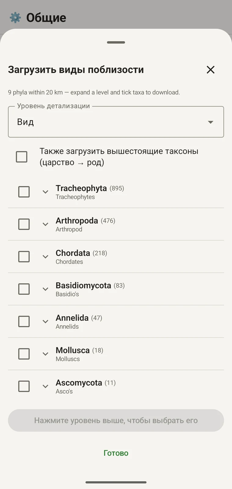 Таксономическое дерево GBIF: классы внутри Tracheophyta