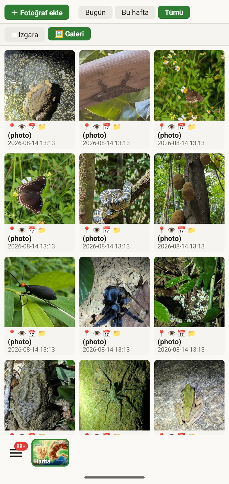 Ekli tüm görüntülerin ızgarasını gösteren proje fotoğraf galerisi