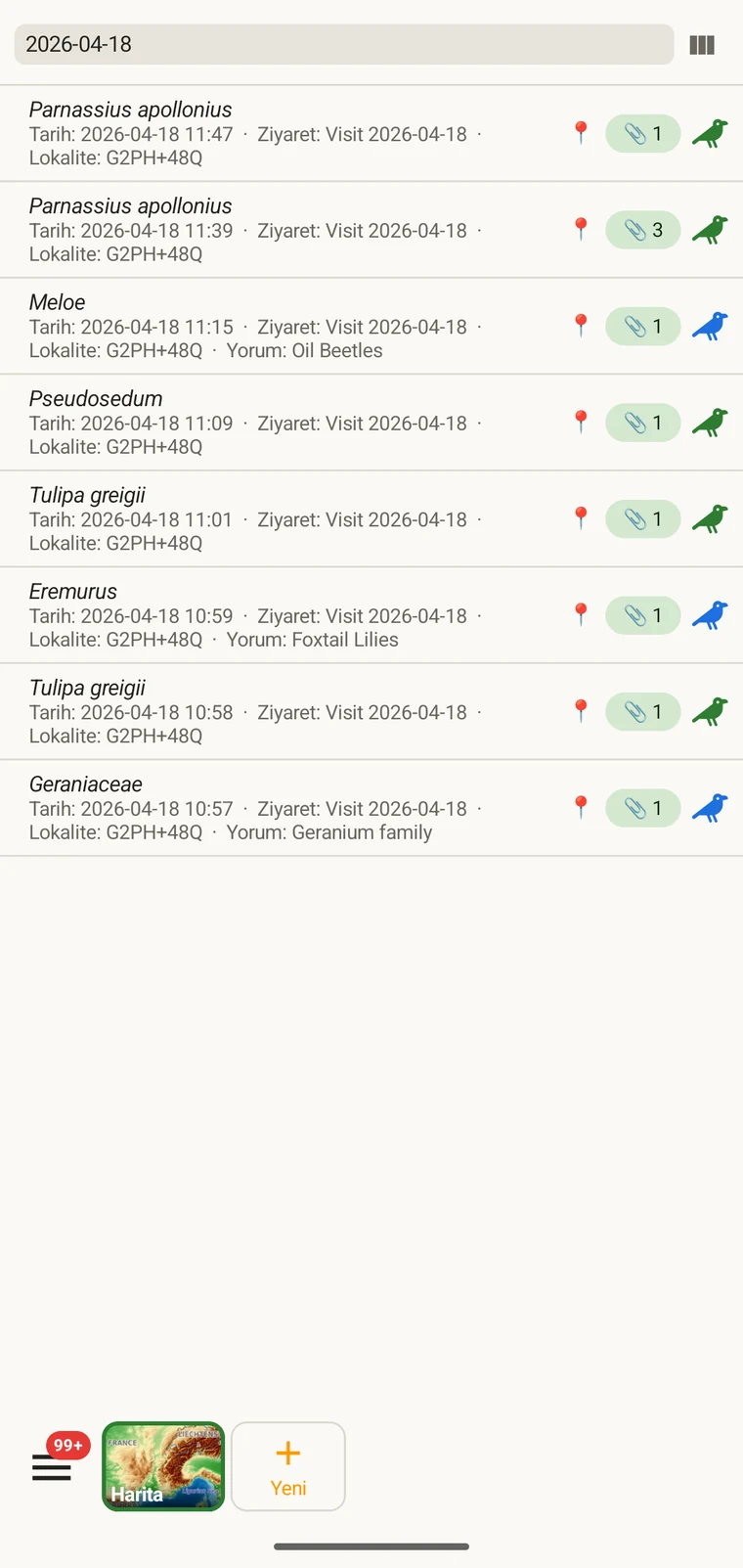 Observation list filtered by typing a date into the filter box above the list