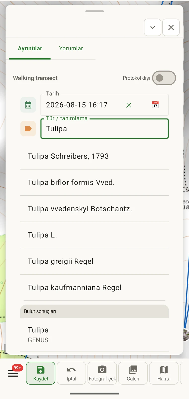 Orta Asya Tulipa türlerini gösteren takson arama sonuçları