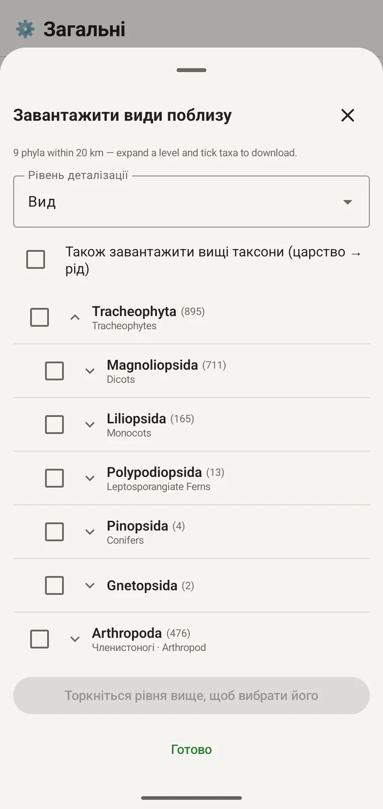 Дерево GBIF, розгорнуте до порядків у межах Magnoliopsida, кожен із народними назвами