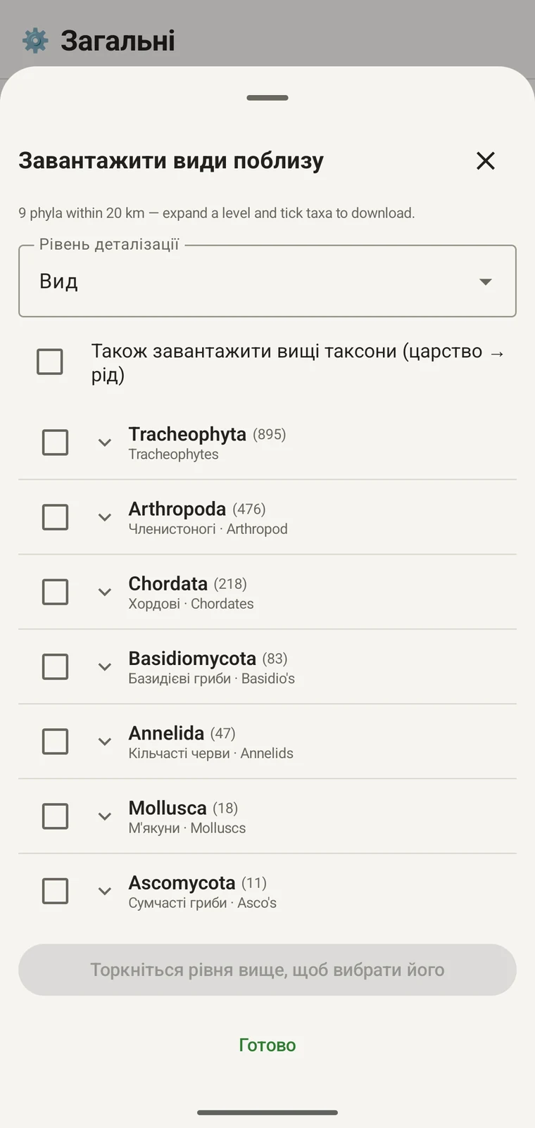 Таксономічне дерево GBIF із класами в межах Tracheophyta