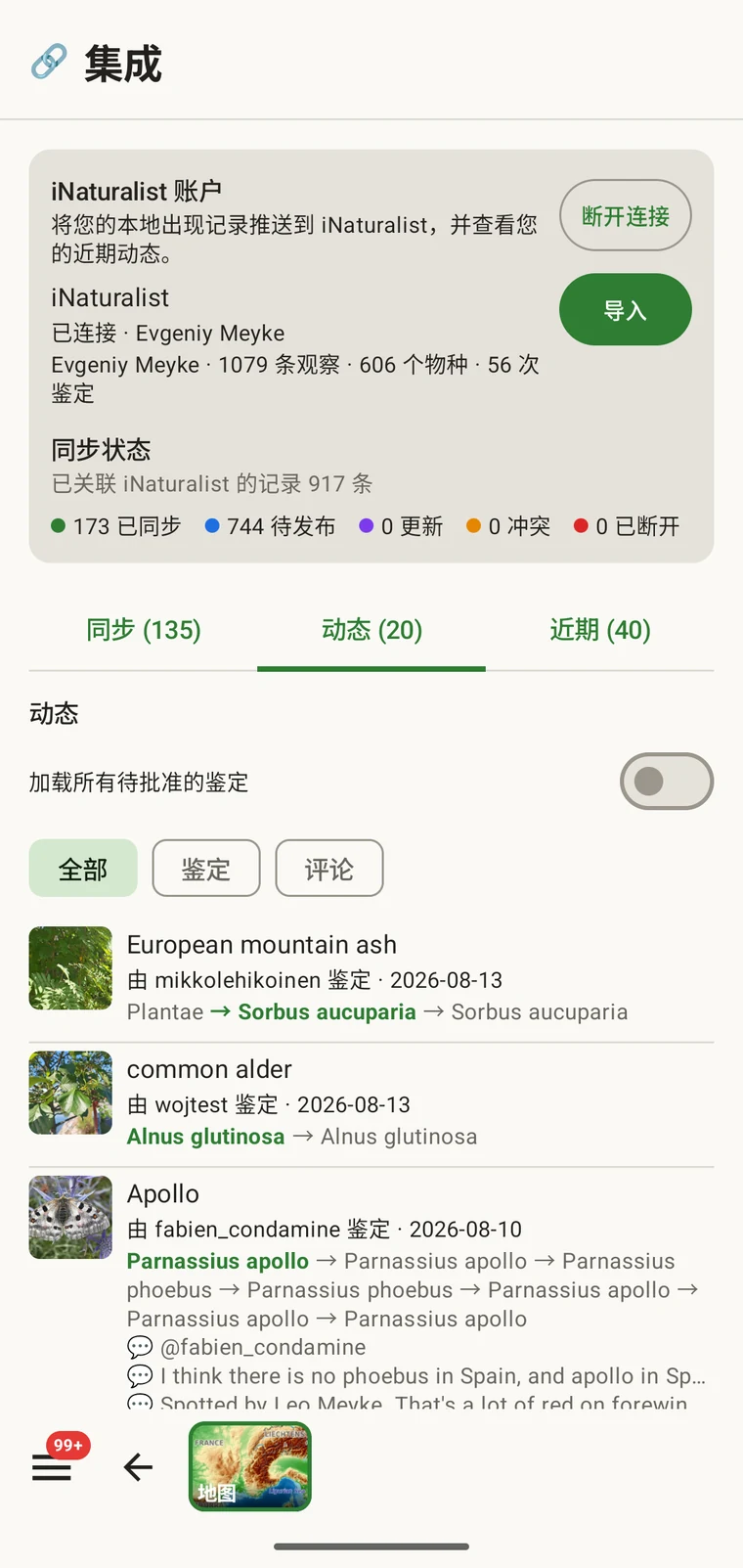 iNaturalist 活动动态,显示观察记录和鉴定上的近期事件